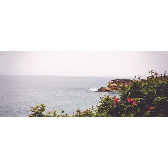 DO NOT BUY: Fantastic Rubber Mouse - Picture 7 of 8